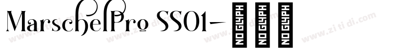 MarschelPro SS01字体转换